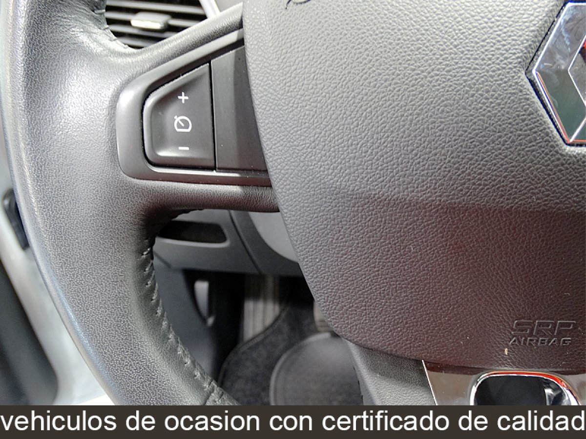 Foto Renault Grand Scenic 22