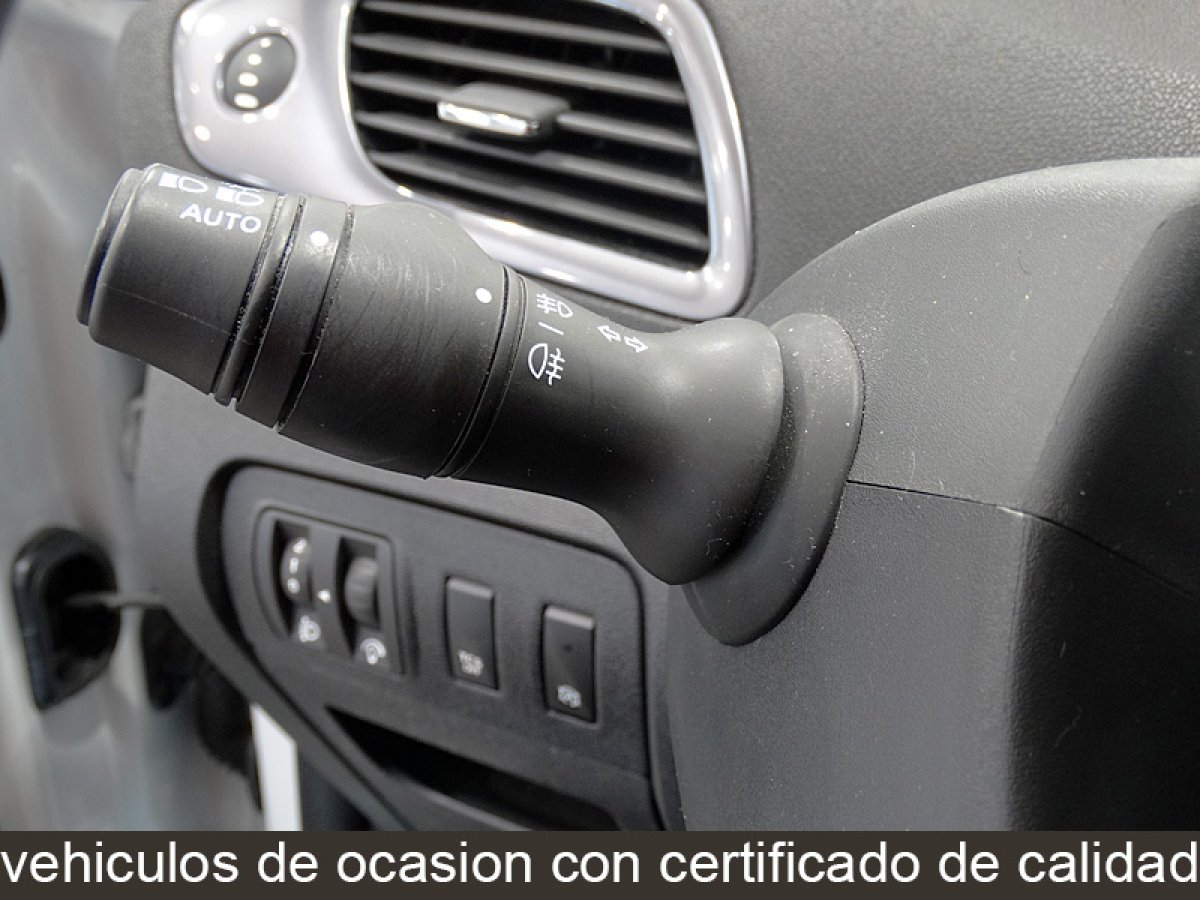 Foto Renault Grand Scenic 24