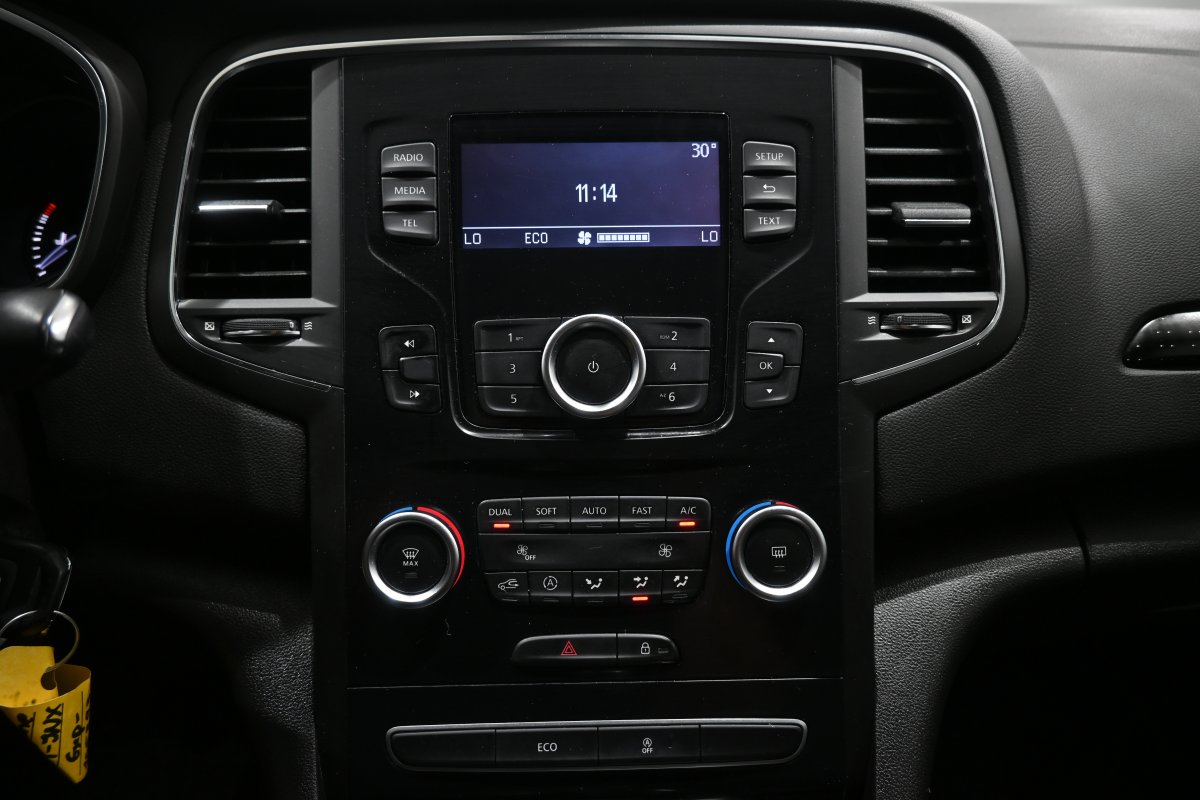 Foto Renault Megane 15