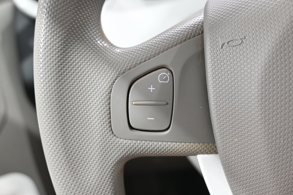Foto Renault Zoe 24