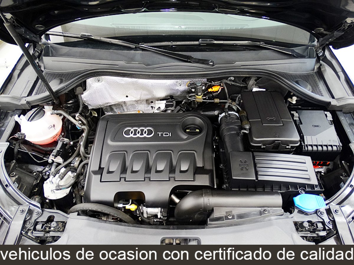 Foto Audi Q3 15