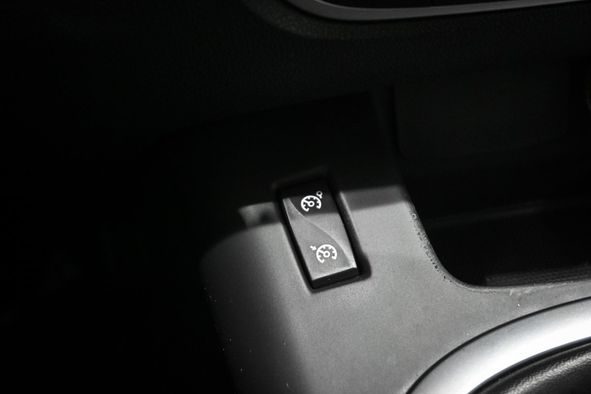 Foto Renault Grand Scenic 19