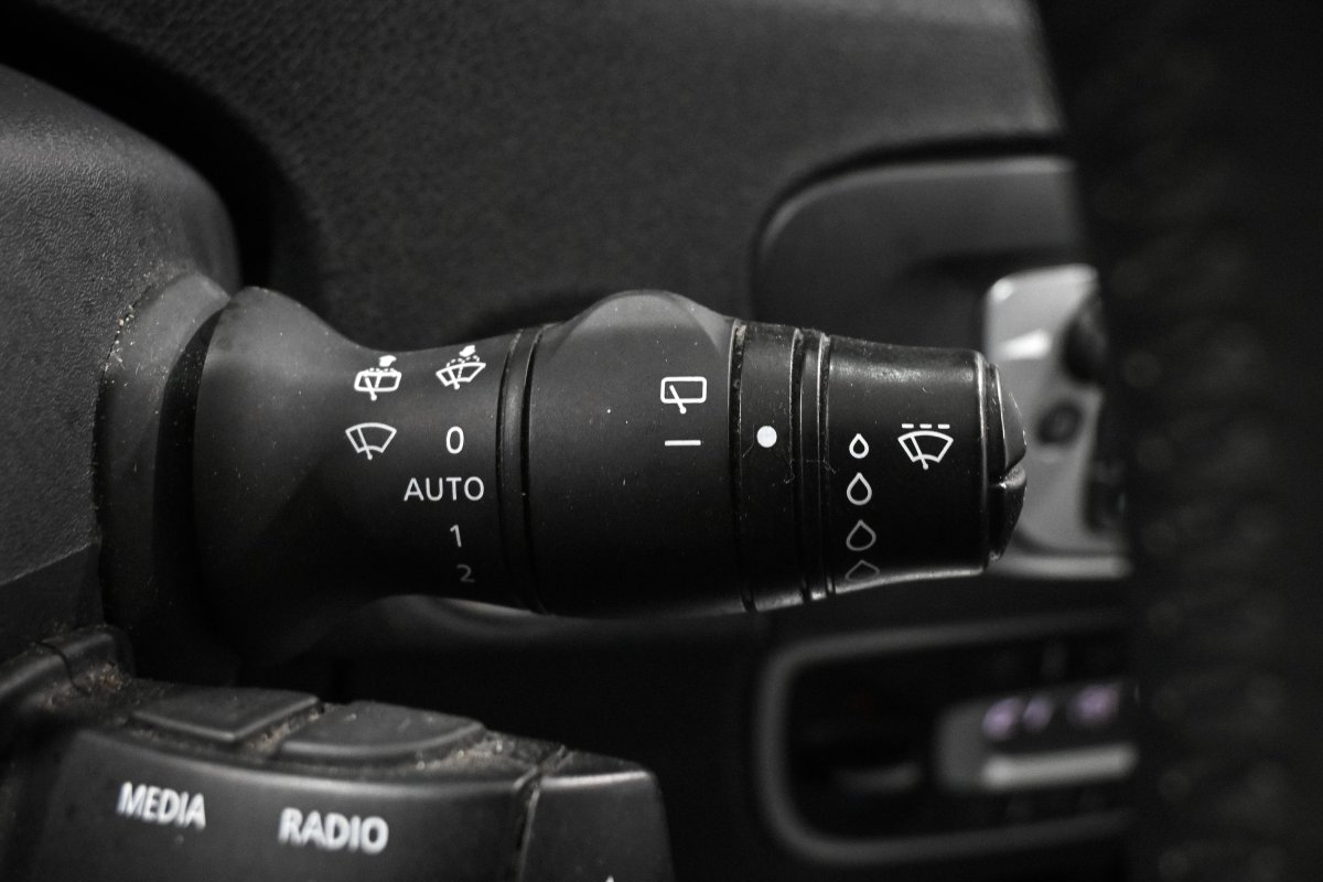 Foto Renault Grand Scenic 22