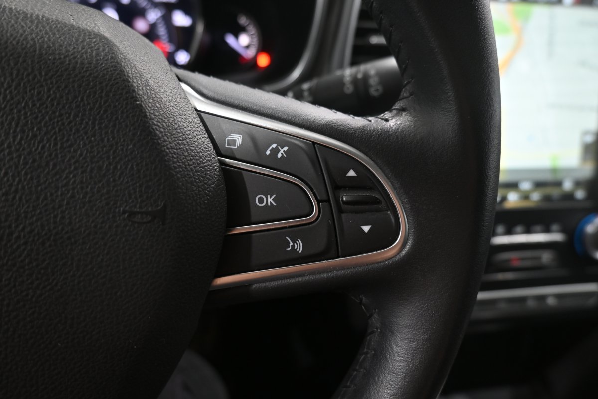Foto Renault Megane 24
