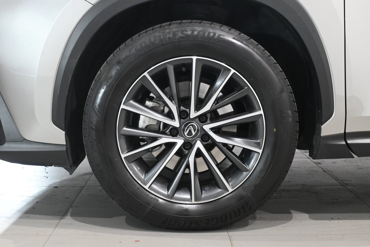 Foto Lexus NX 29