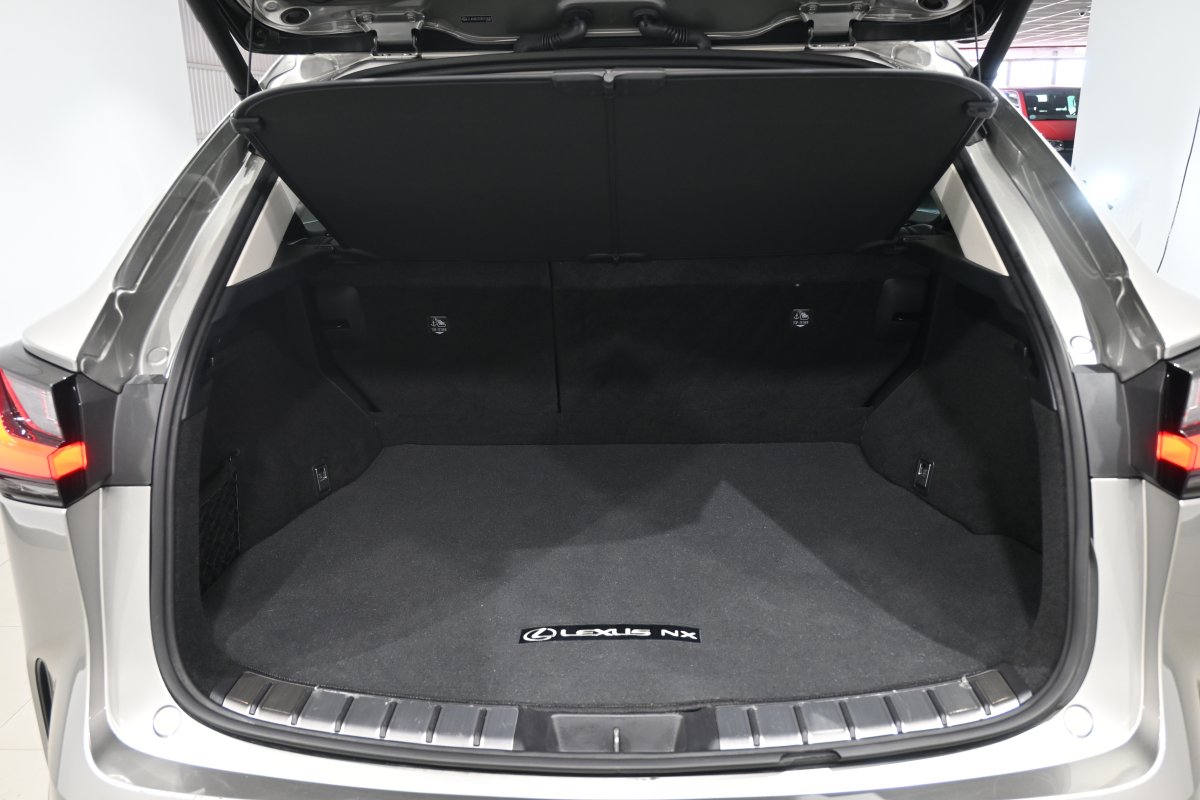 Foto Lexus NX 8