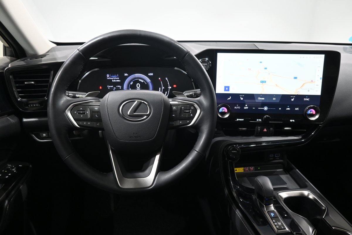 Foto Lexus NX 18