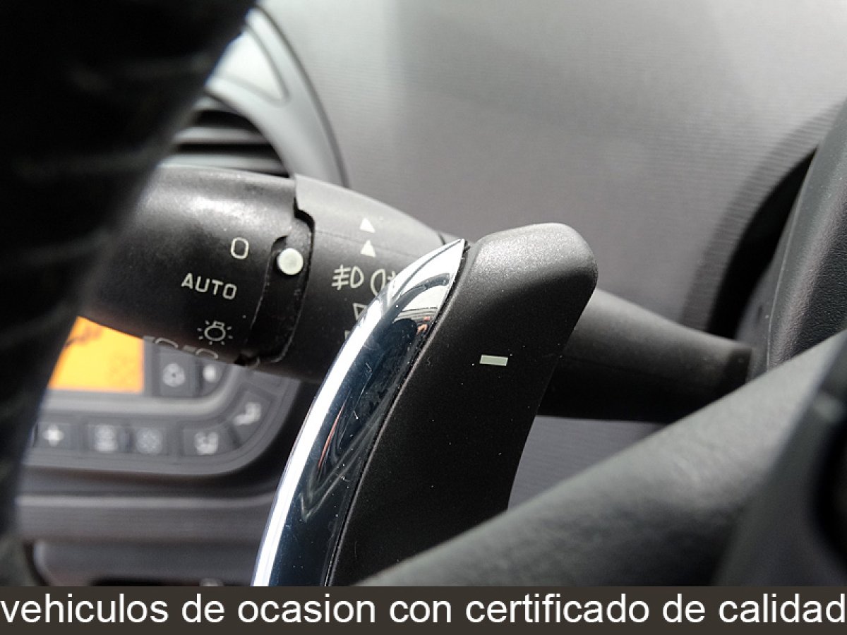 Foto Citroen Grand C4 Picasso 24