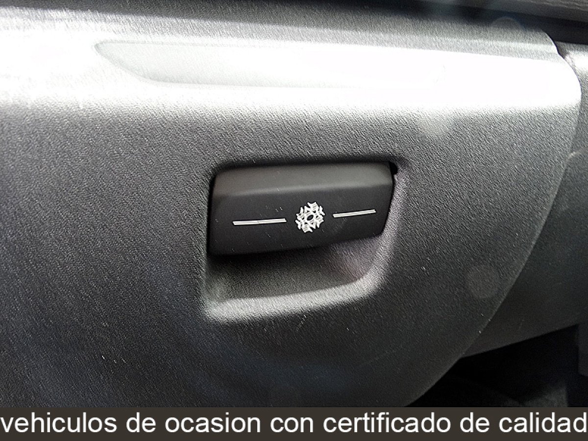 Foto Citroen Grand C4 Picasso 26