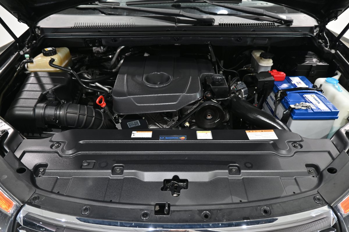 Foto Ssangyong Rodius 7