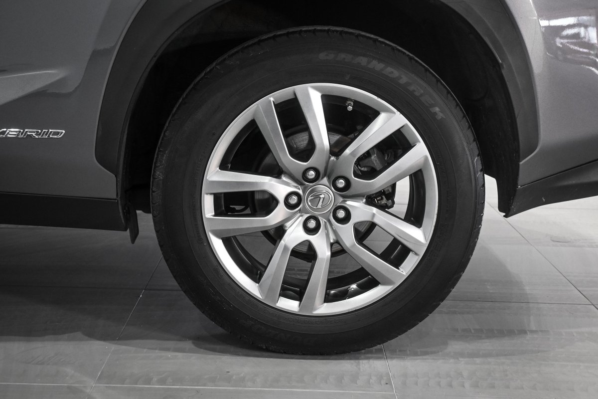 Foto Lexus NX 33