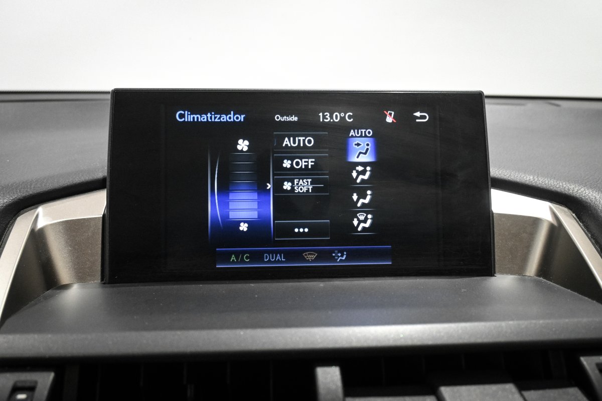 Foto Lexus NX 14