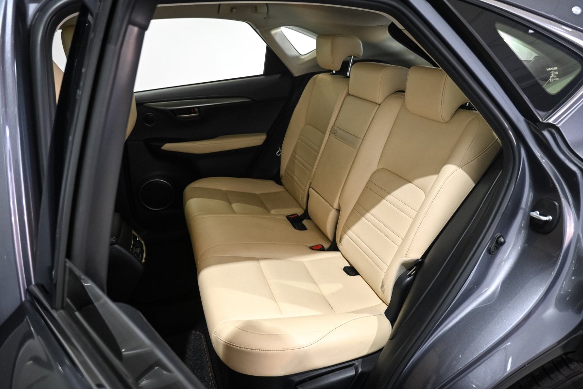 Foto Lexus NX 10