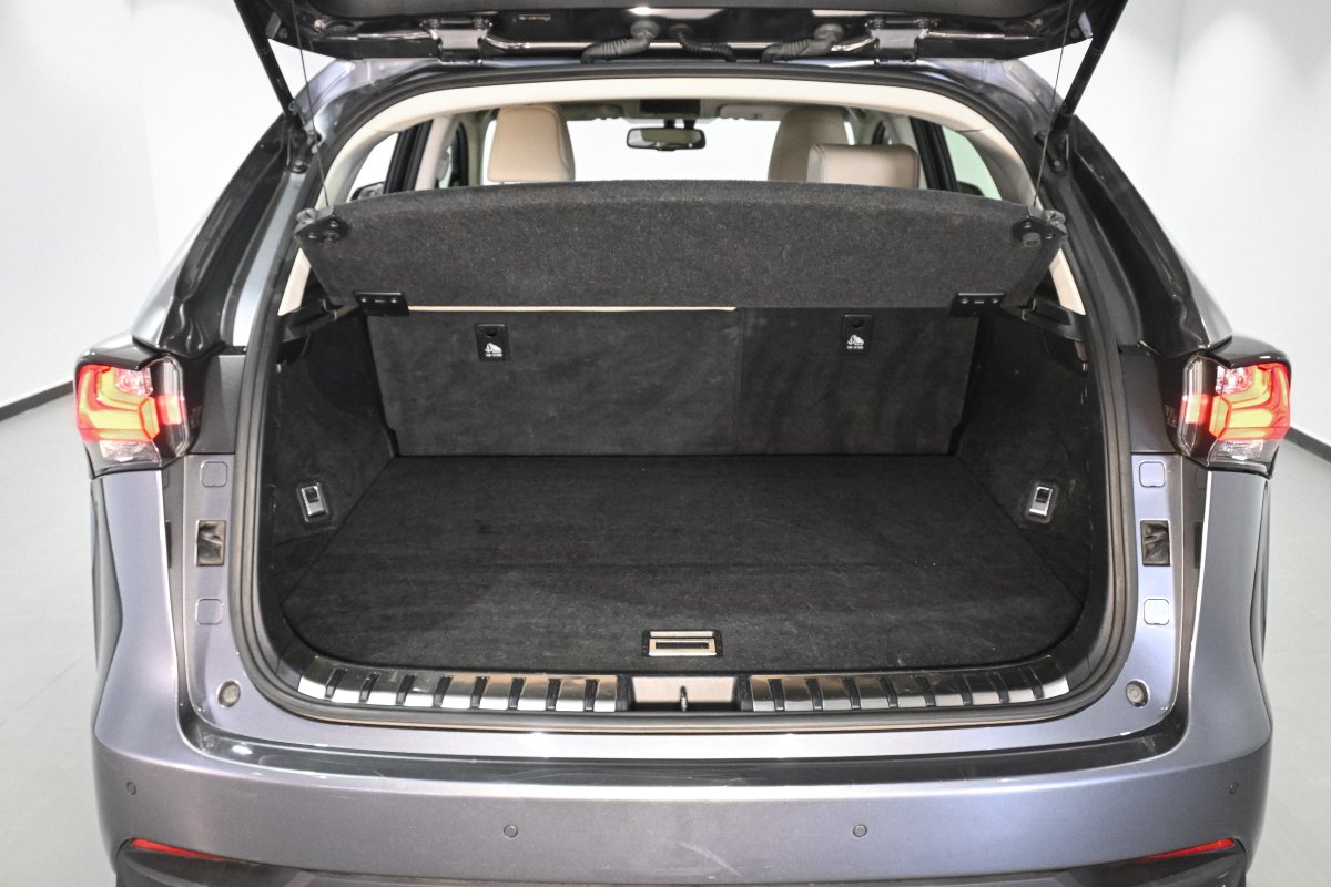 Foto Lexus NX 8