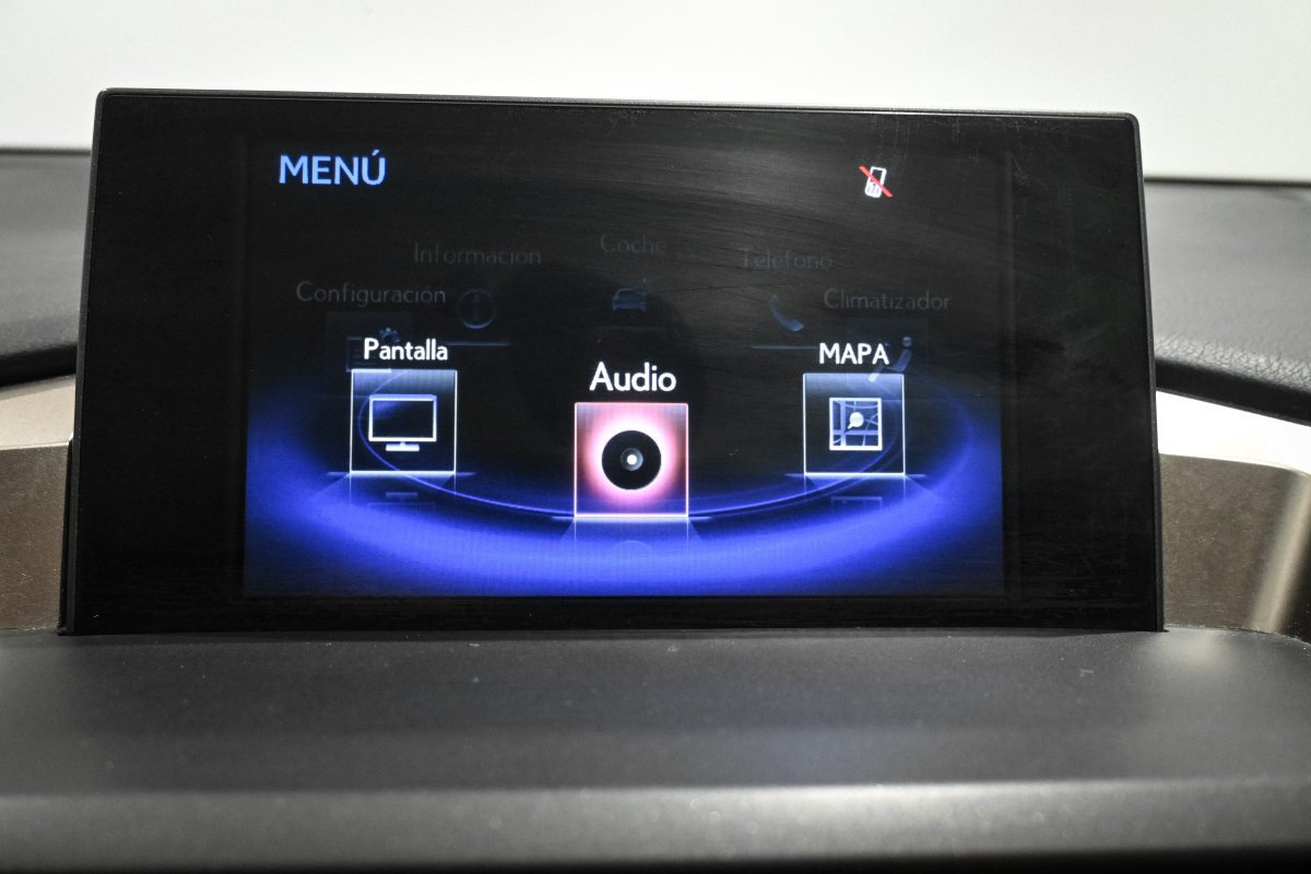Foto Lexus NX 20