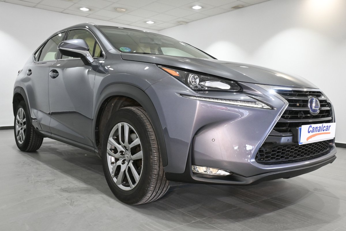 Foto Lexus NX 12