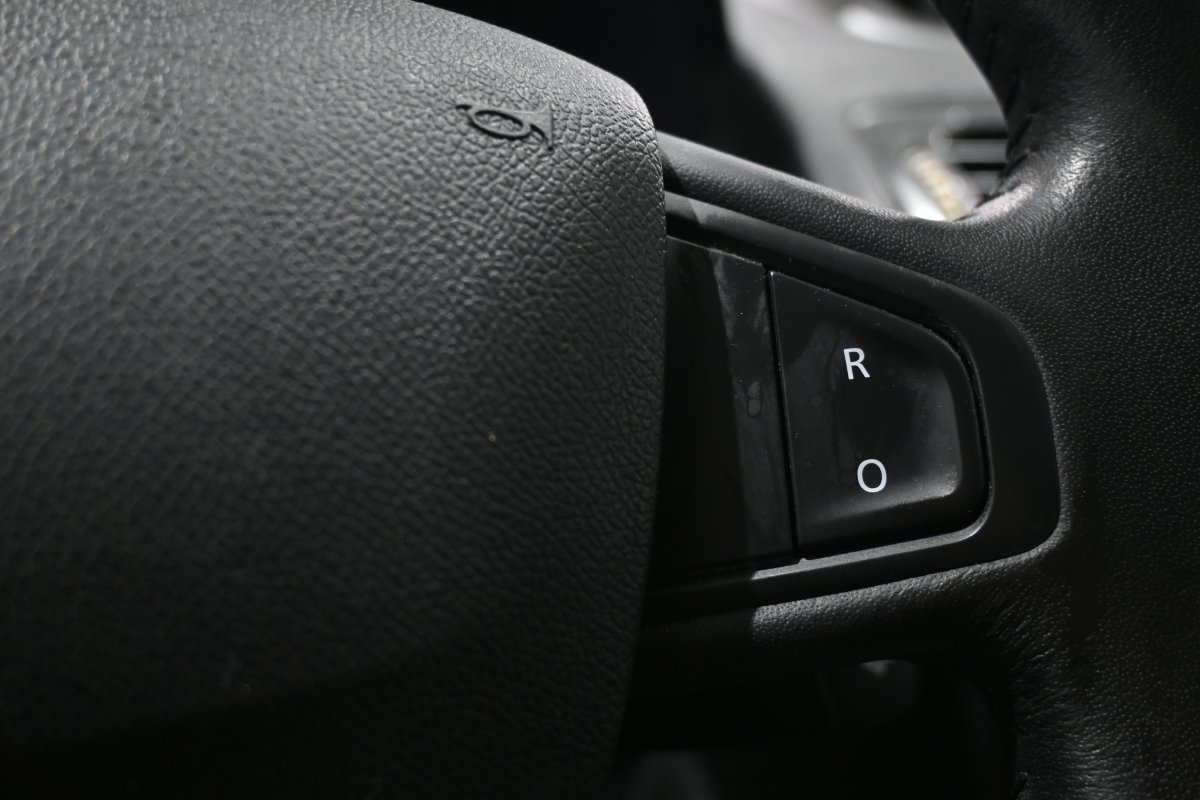 Foto Renault Megane 23