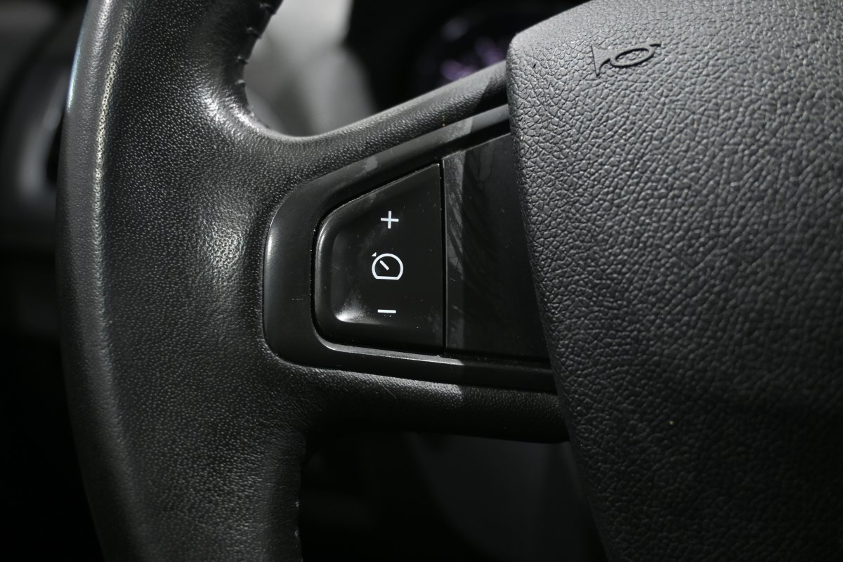 Foto Renault Megane 22