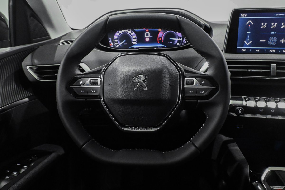 Foto Peugeot 3008 10