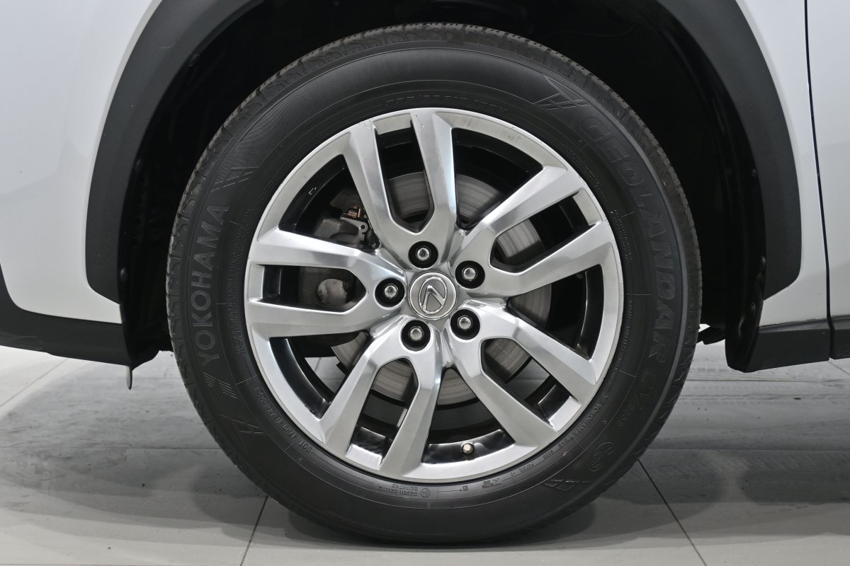 Foto Lexus NX 31