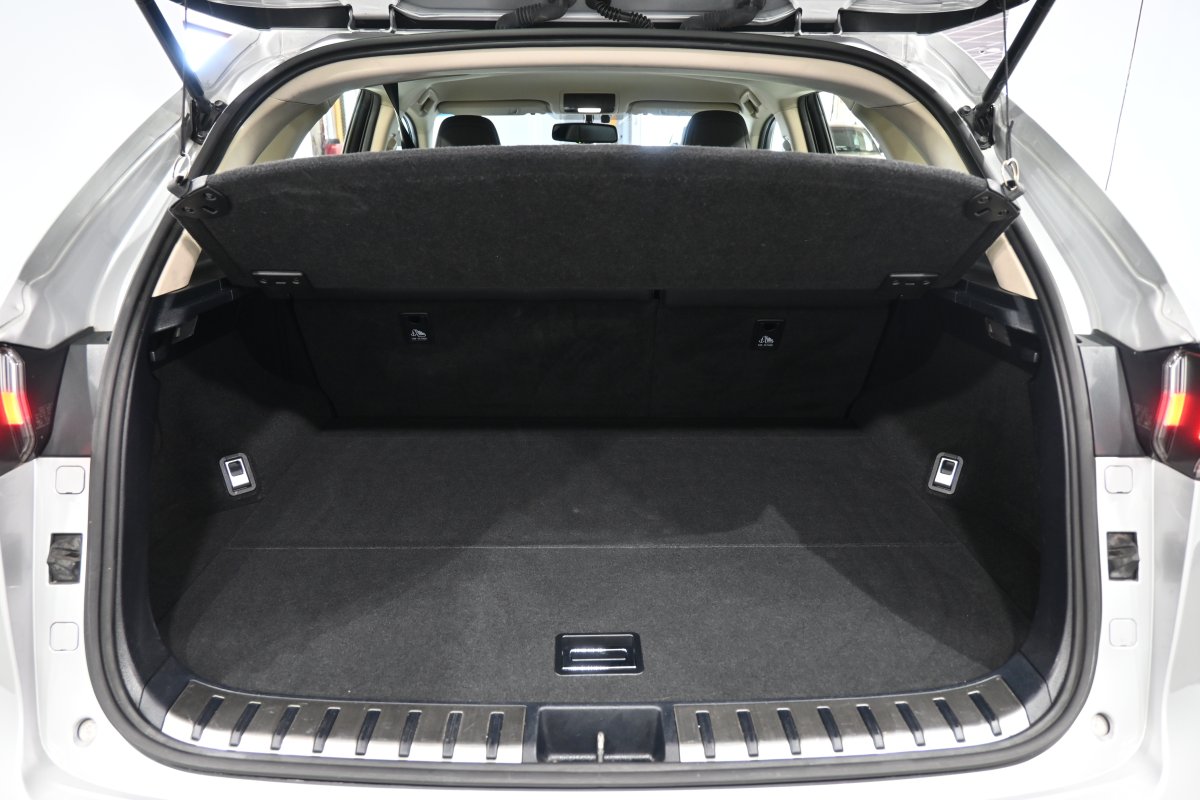 Foto Lexus NX 8