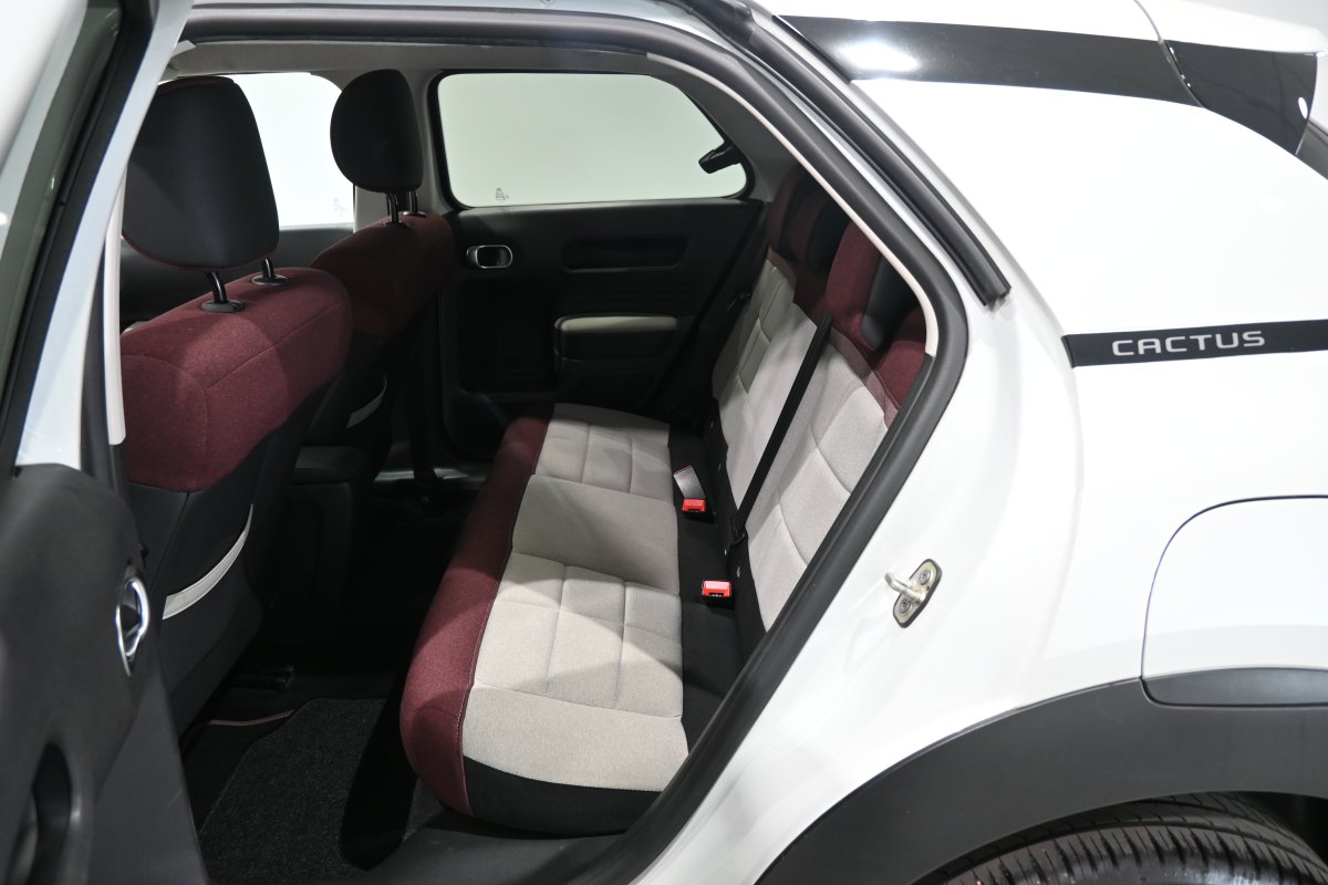 Foto Citroen C4 Cactus 11