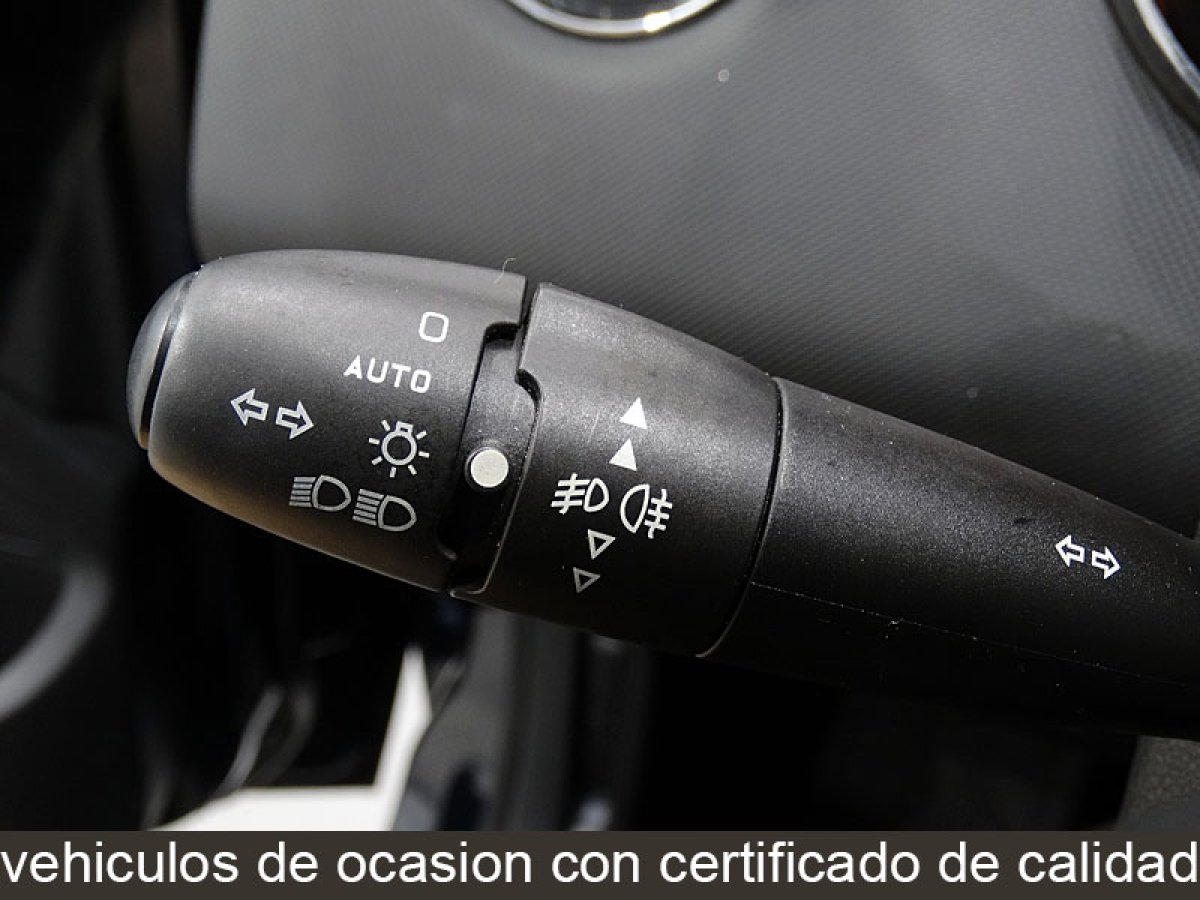 Foto Peugeot 308 30