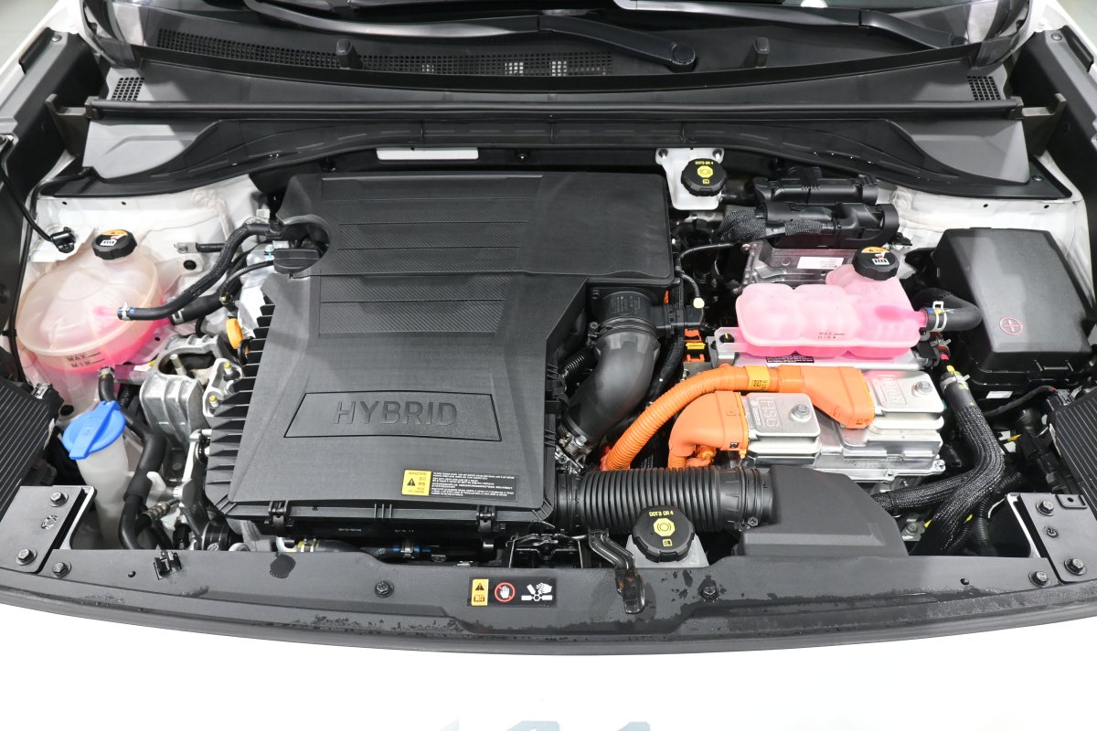 Foto Kia Niro 7