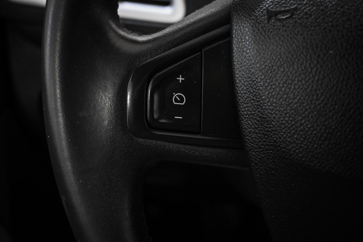 Foto Renault Grand 30