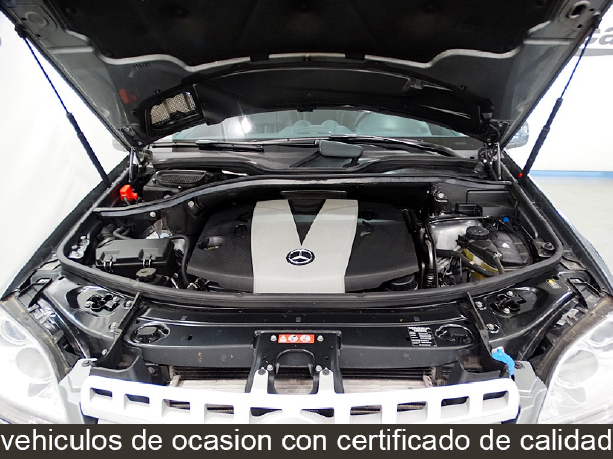 Foto Mercedes-Benz ML 300 16