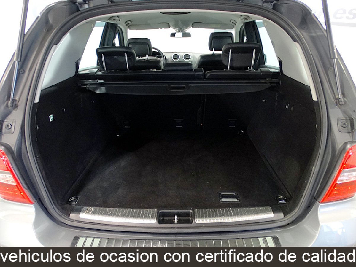 Foto Mercedes-Benz ML 300 17