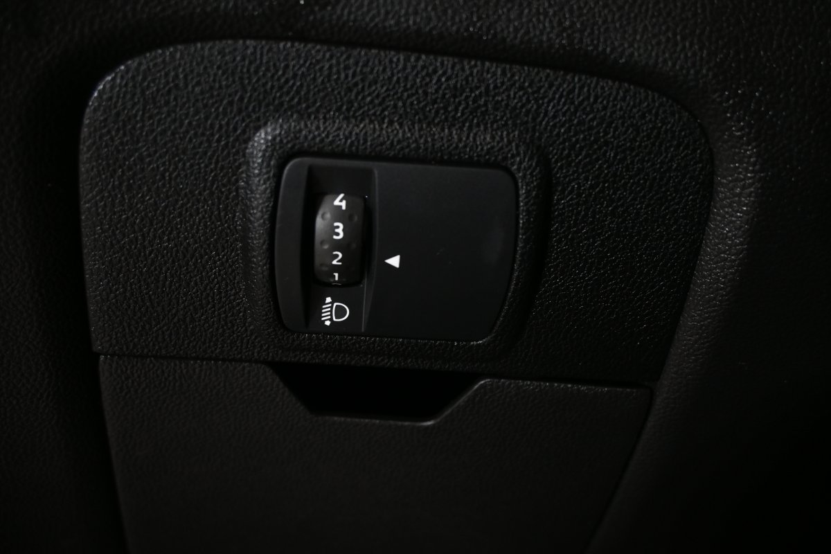 Foto Renault Scenic 29