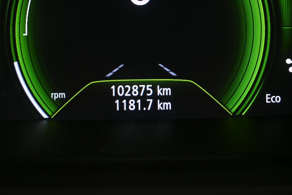 Foto Renault Scenic 13