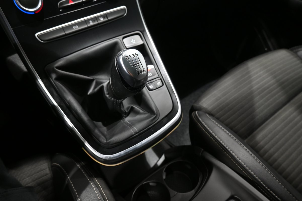 Foto Renault Scenic 21