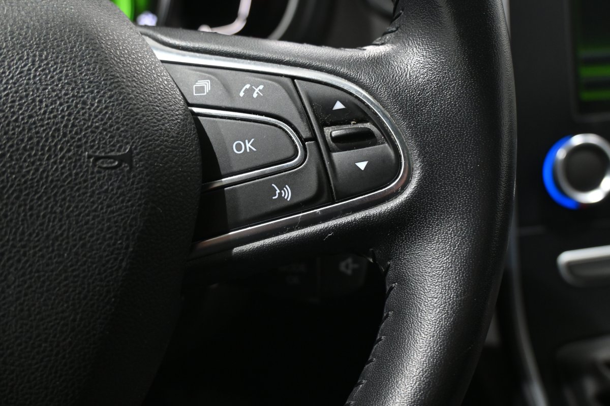 Foto Renault Scenic 24