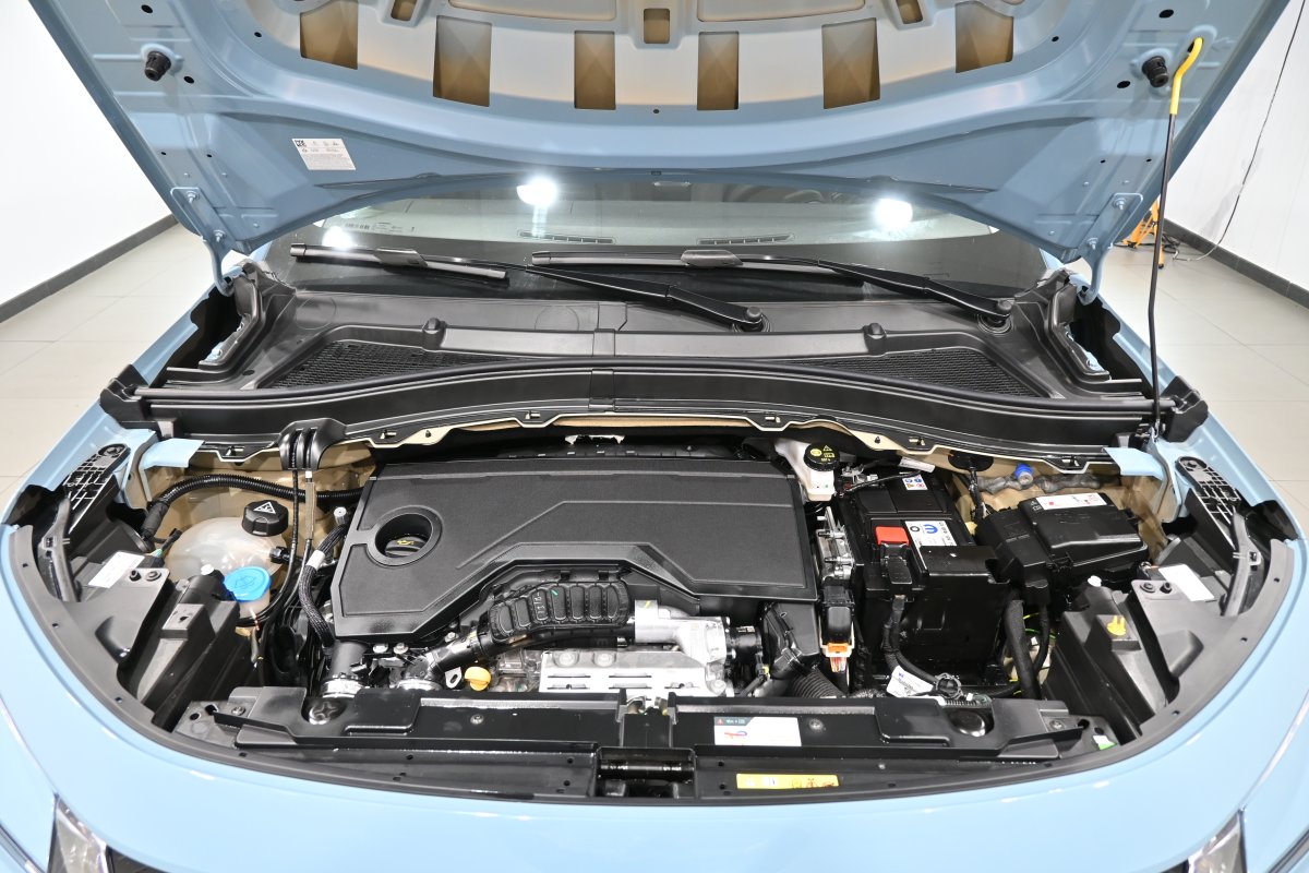 Foto Citroen Nuevo 7