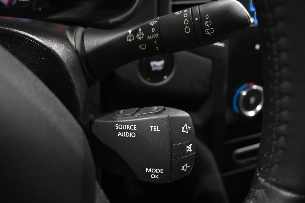 Foto Renault Megane 24