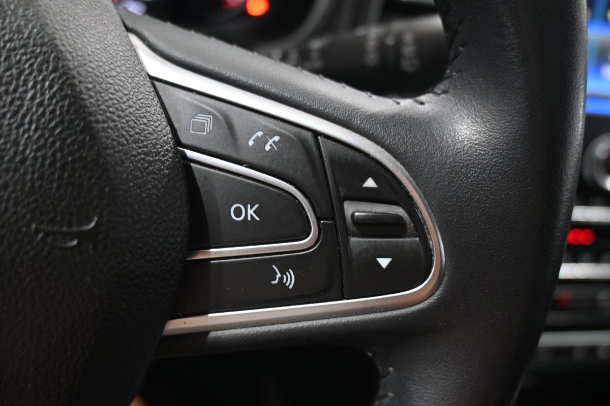 Foto Renault Megane 22