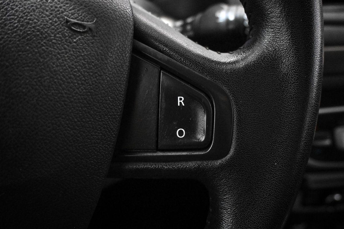 Foto Renault Megane 24