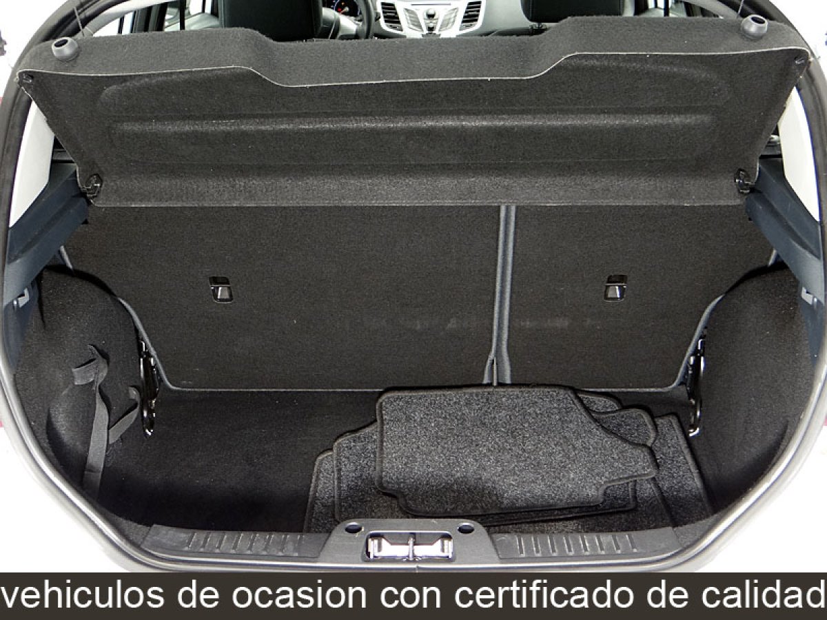 Foto Ford Fiesta 19
