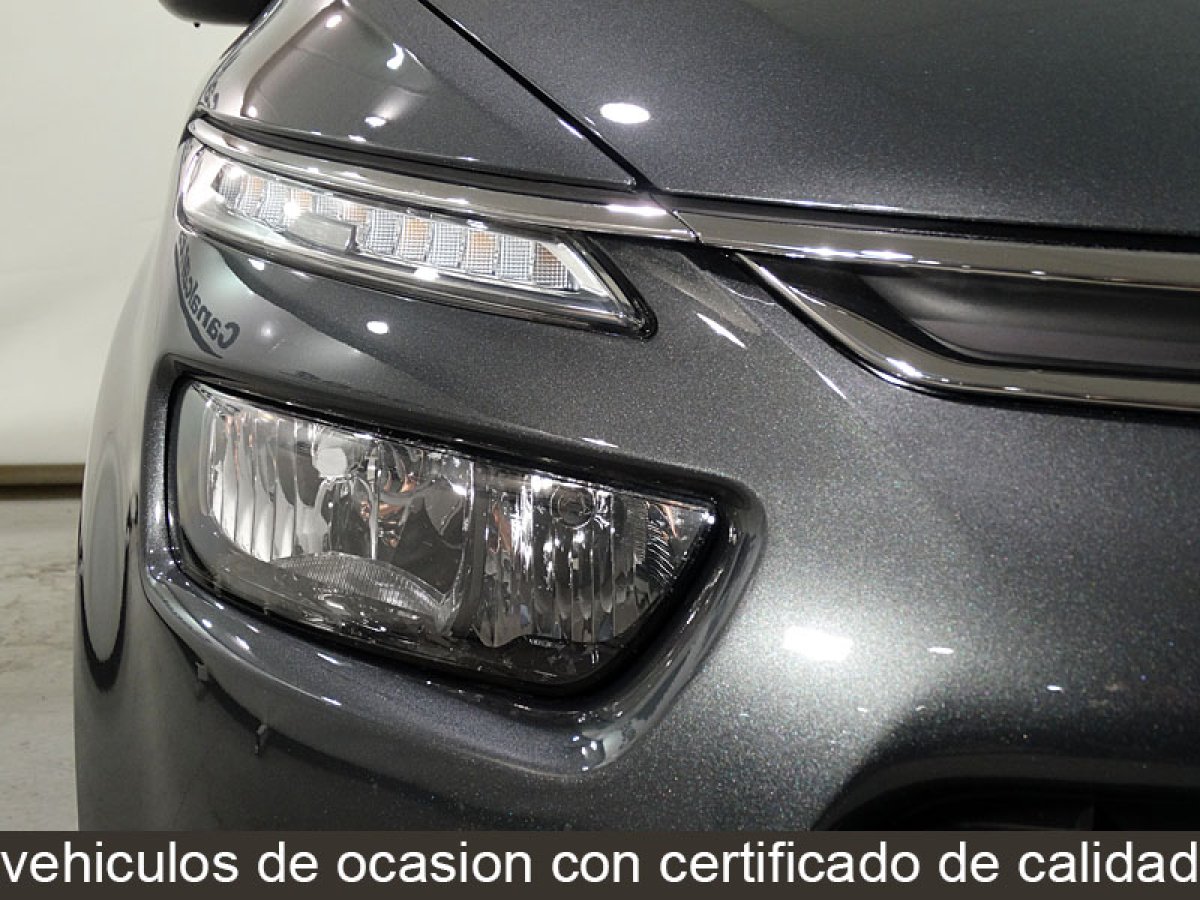 Foto Citroen C4 Picasso 11