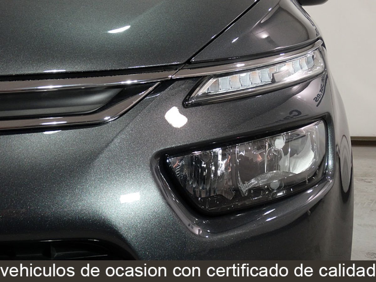 Foto Citroen C4 Picasso 12