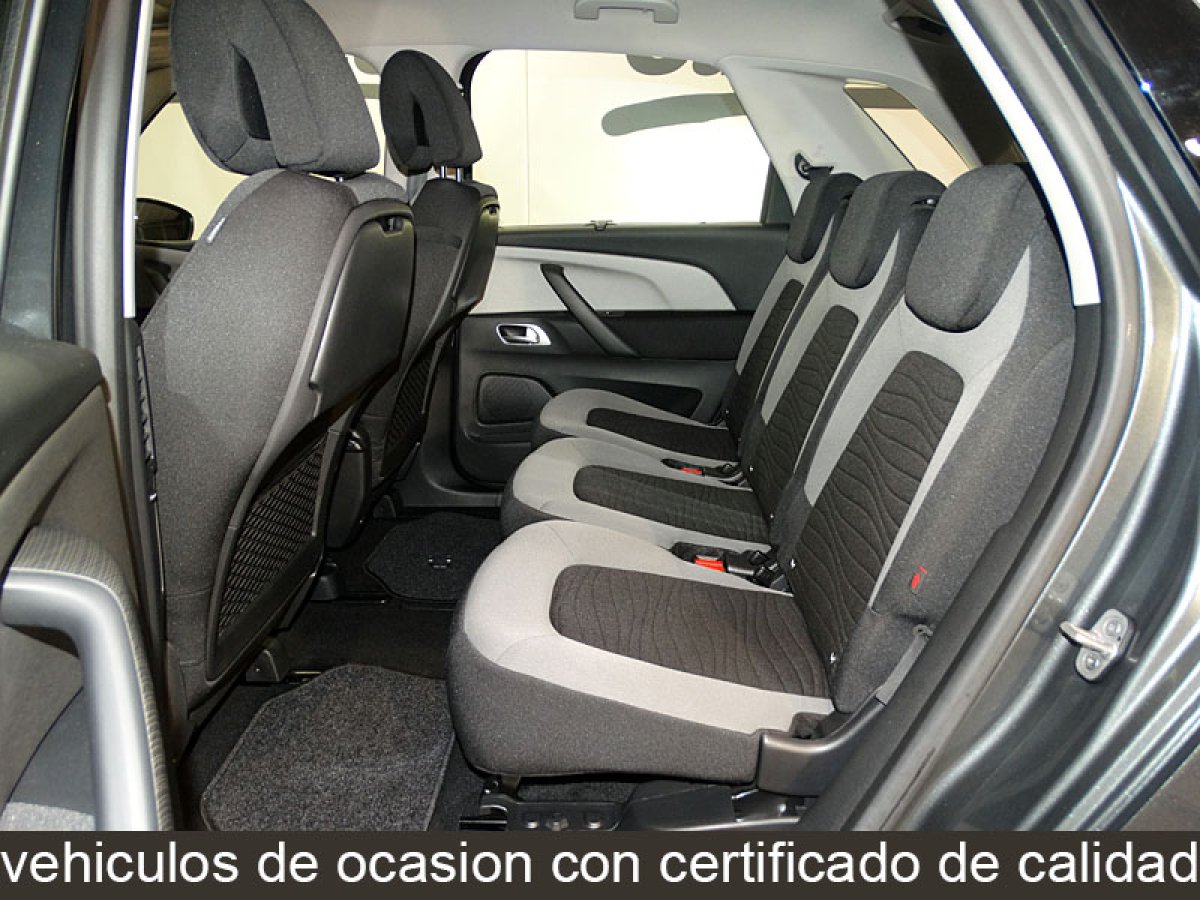 Foto Citroen C4 Picasso 15