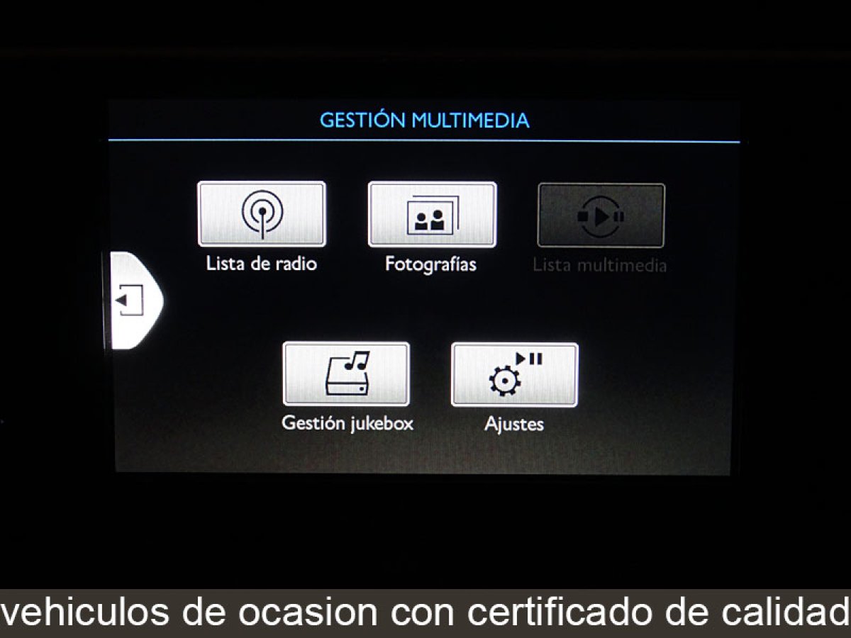 Foto Citroen C4 Picasso 18