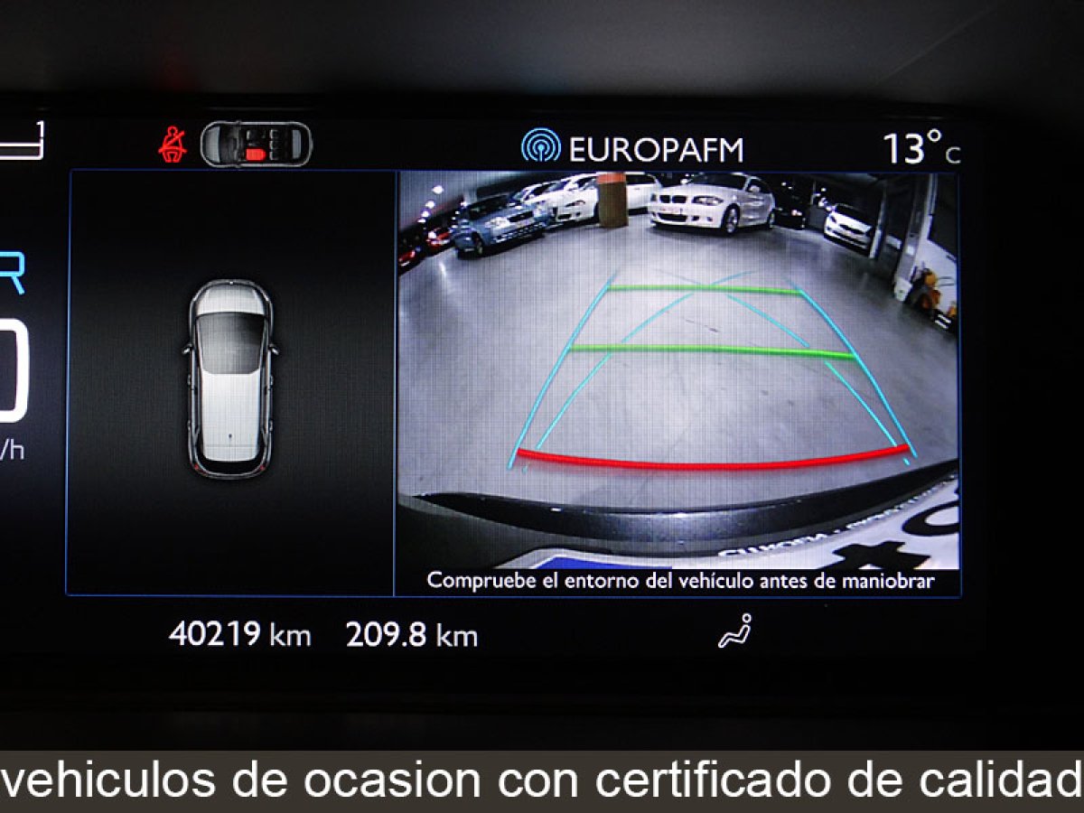 Foto Citroen C4 Picasso 19