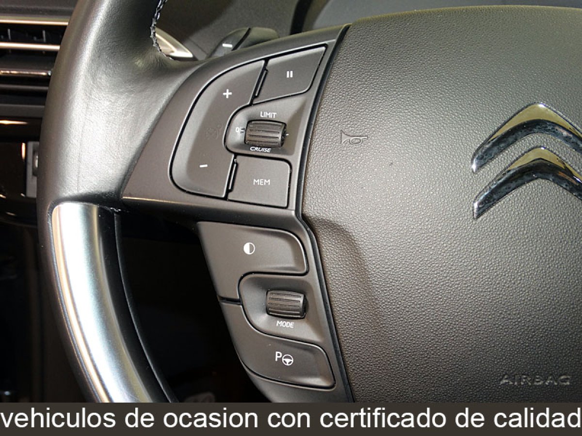 Foto Citroen C4 Picasso 21