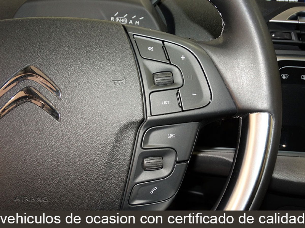 Foto Citroen C4 Picasso 22