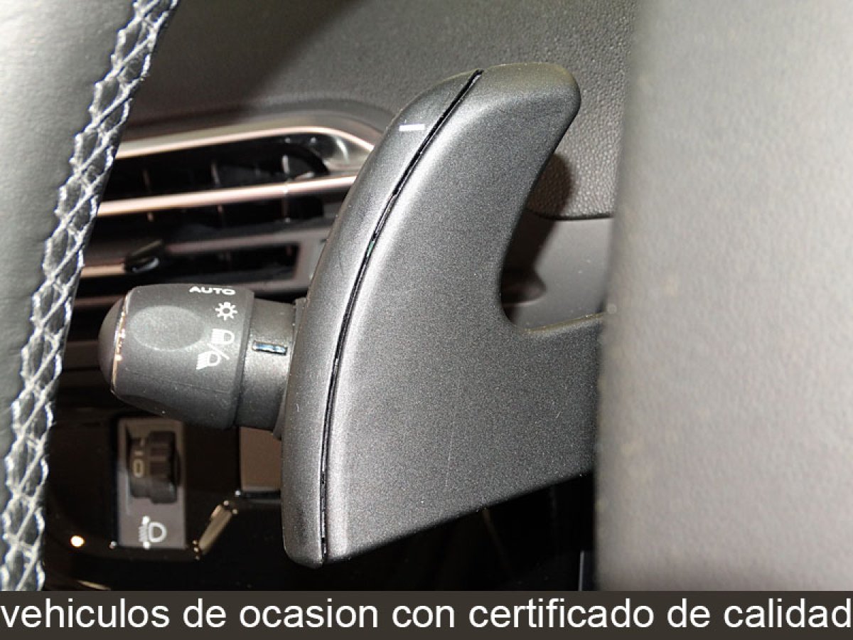 Foto Citroen C4 Picasso 23