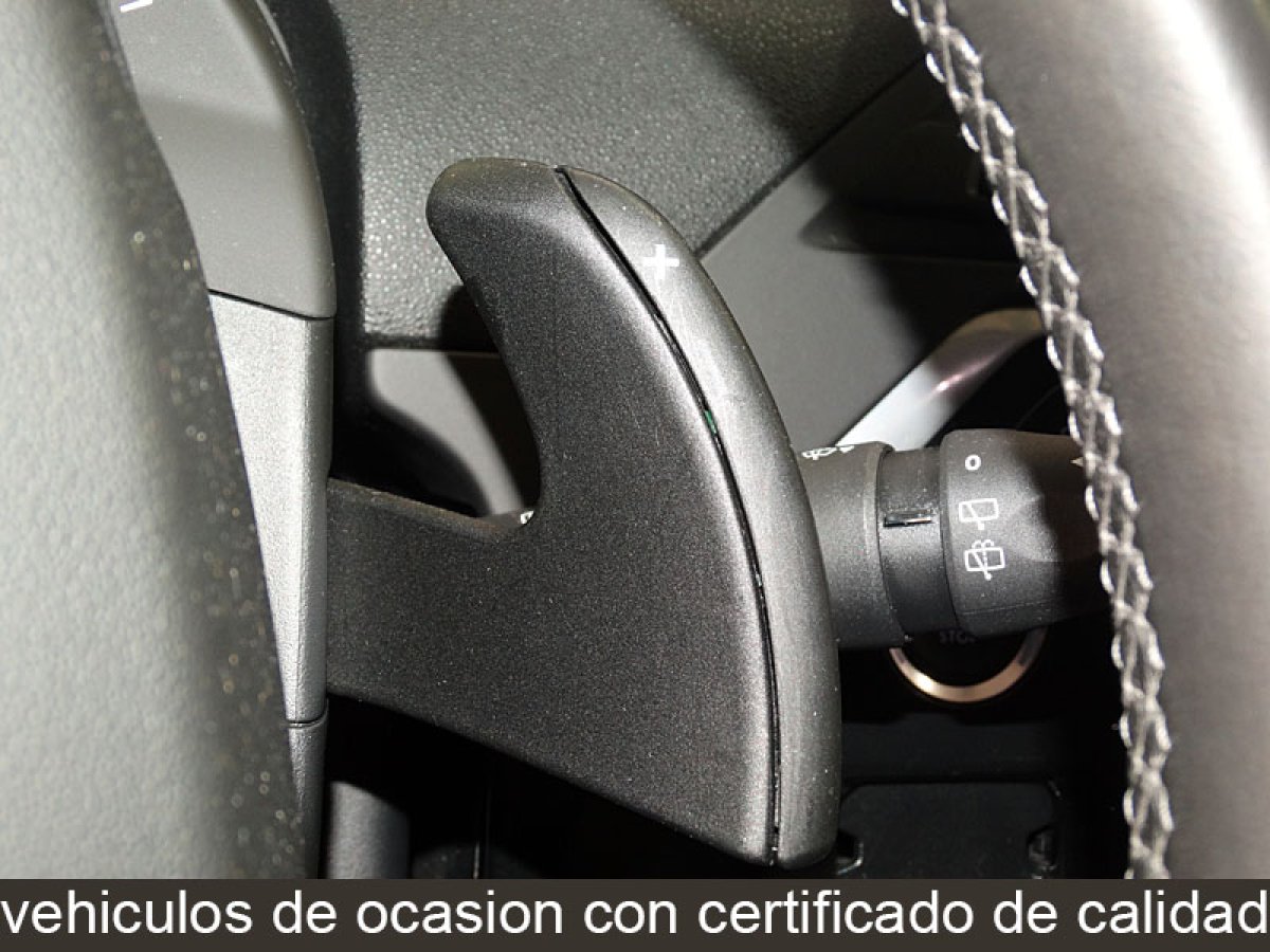 Foto Citroen C4 Picasso 24