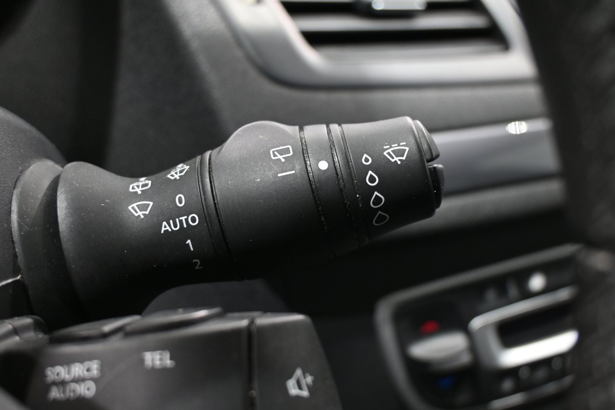 Foto Renault Megane 22